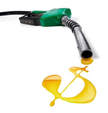 gasoline-price-history41